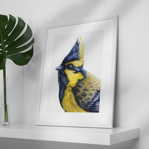 Watercolor Wall Art Himalayan Tit Bird Print Poster Unframed - Picture 4 of 9